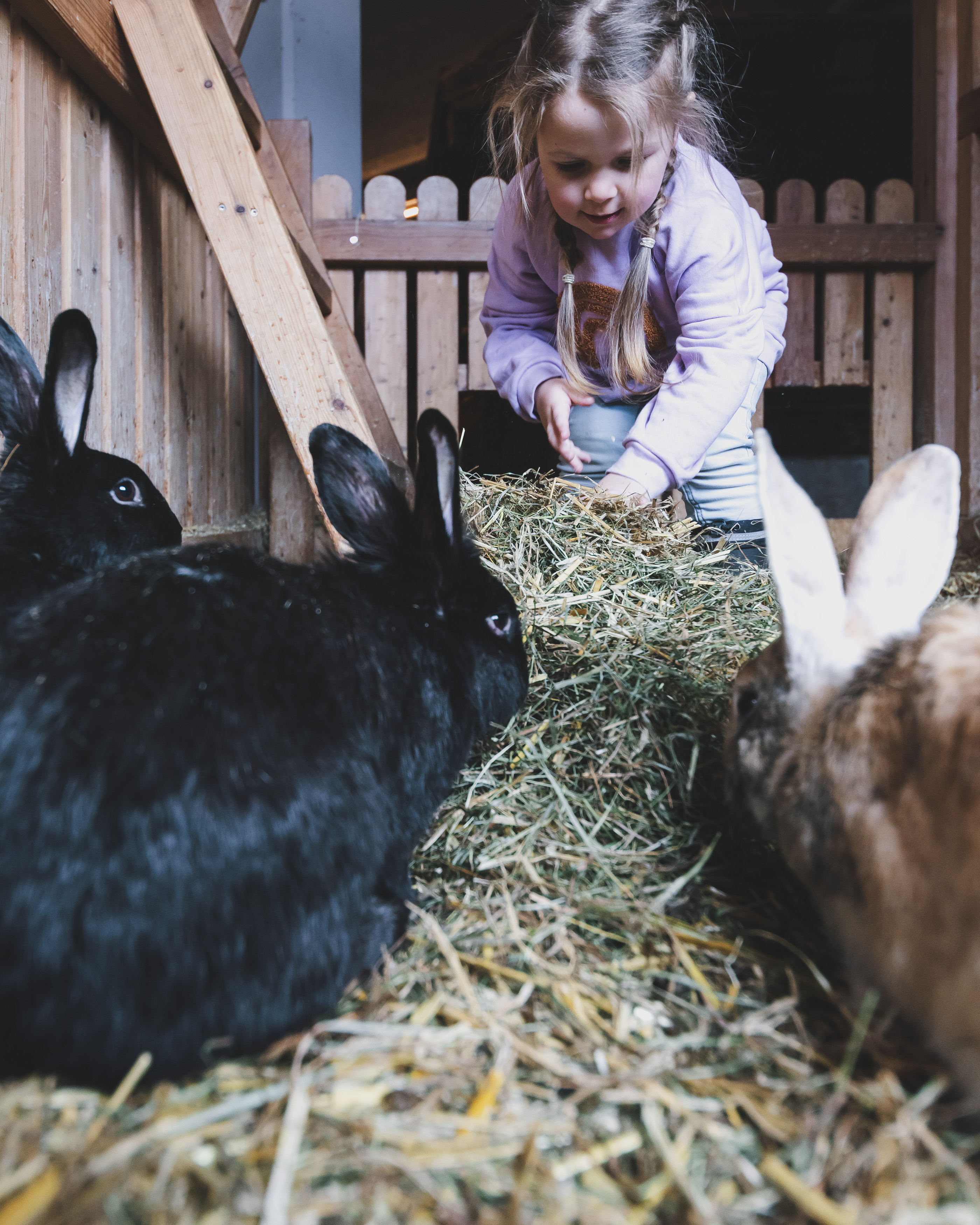 Skihotel: Tiere am Ellmauhof - Ellmauhof - das Generationenresort****S