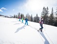 Skihotel: Schneeschuhwandern - Ortners Eschenhof - Alpine Slowness