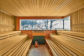 Skihotel: Zirben- und Finnische Sauna  - Hotel NockResort