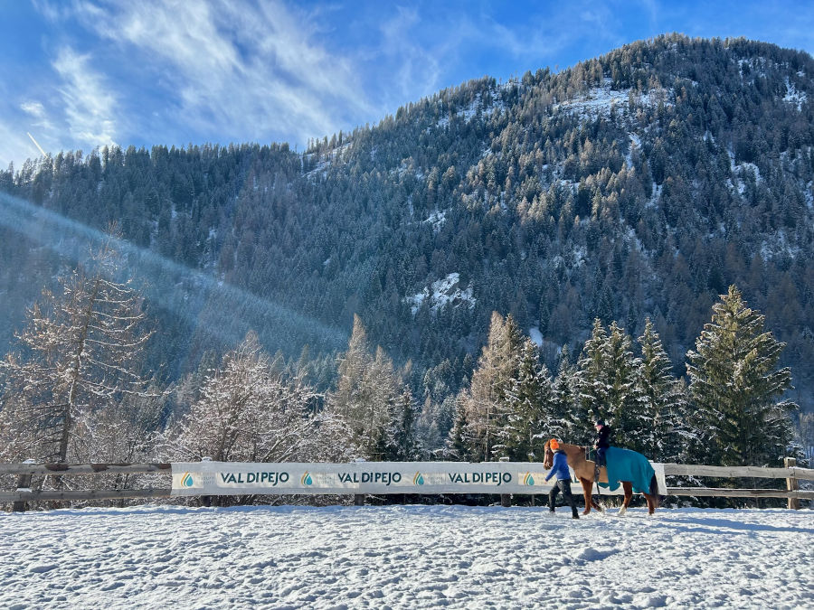 Kristiania Pure Nature Hotel & Spa Ausflugsziele Pferdeschlittenfahrten