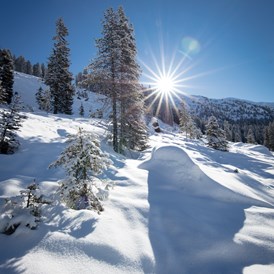 Skigebiet: Skigebiet Hochfügen - Hochzillertal