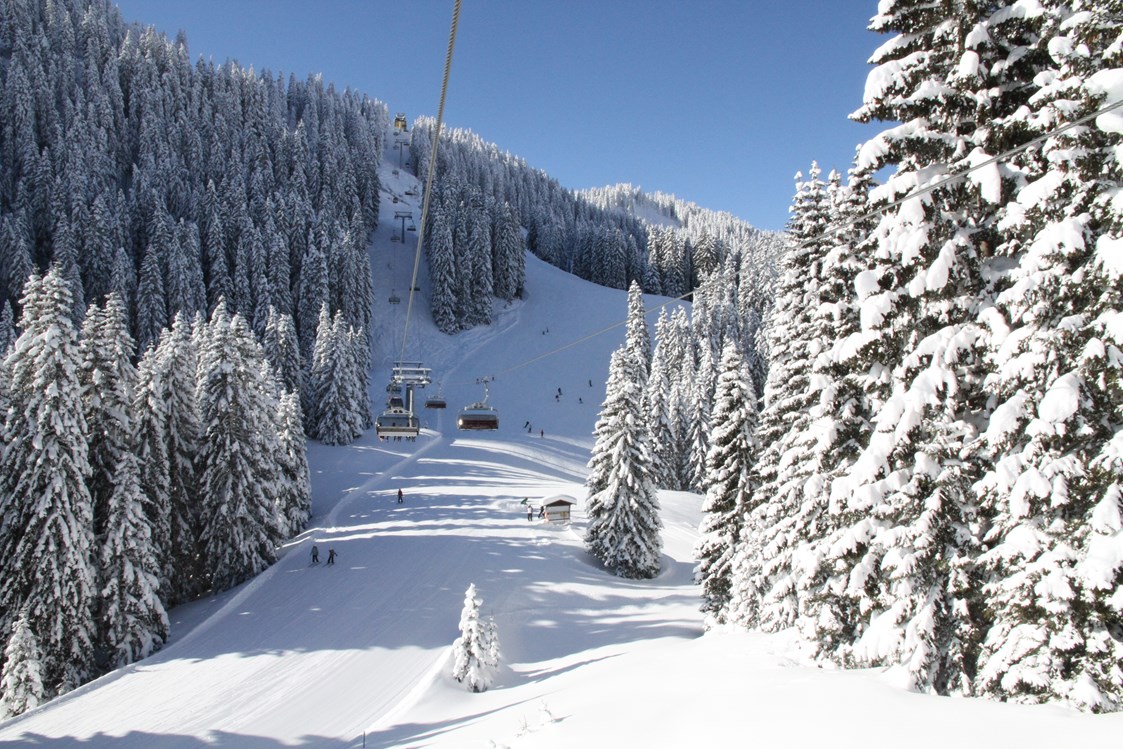 Skigebiet: Skiarena Berwang - Zugspitz Arena