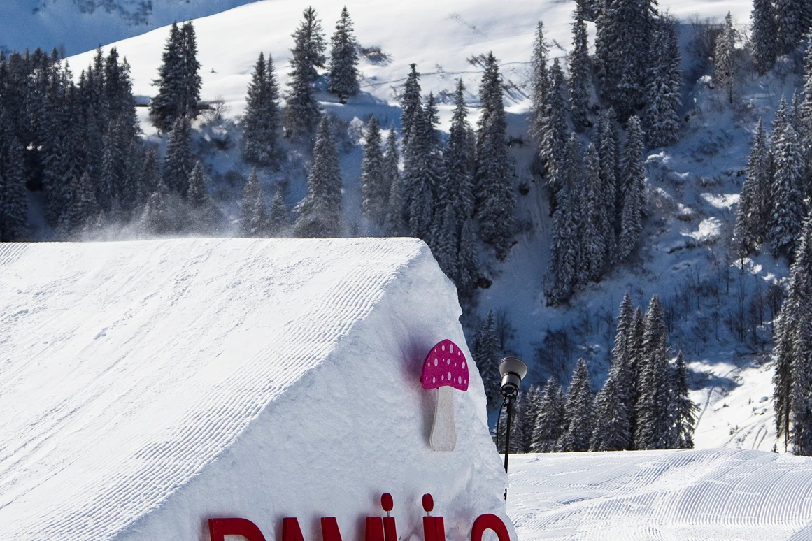 Skigebiet: Snowpark Damüls  - Skigebiet Damüls-Mellau
