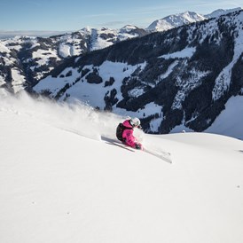 Skigebiet: Freeriderevier am Wiedersberger Horn in Alpbach - Ski Juwel Alpbachtal Wildschönau