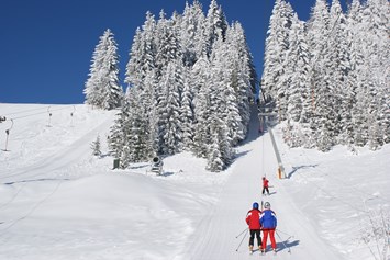 Skigebiet: Schneesicheres und gemütliches Skigebiet  in der Oststseiermark - Familienschiberg St. Jakob im Walde