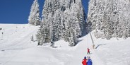 Hotels an der Piste - Österreich - Schneesicheres und gemütliches Skigebiet  in der Oststseiermark - Familienschiberg St. Jakob im Walde
