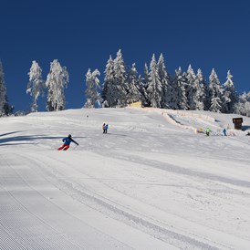 Skigebiet: www.boedele.info - Skigebiet Bödele
