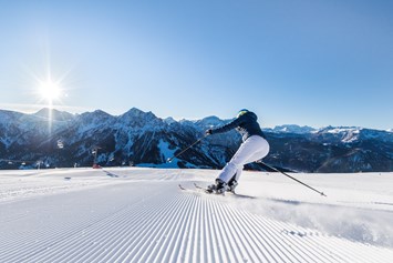 Skigebiet: Skigebiet Kronplatz