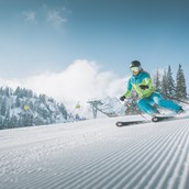 Skihotel - Skigebiet Ladurns