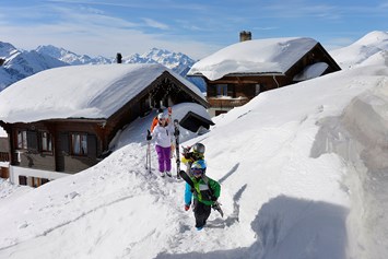 Skigebiet: Skigebiet Aletsch Arena