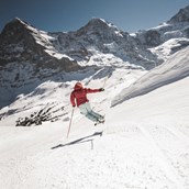 Skihotel - Jungfrau Ski Region / Skigebiet Grindelwald - Wengen