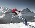 Skigebiet: Jungfrau Ski Region / Skigebiet Grindelwald - Wengen