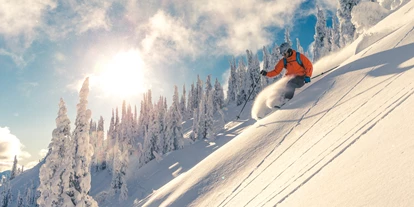 Hotels an der Piste - Oberstdorf - Skigebiet Balderschwang