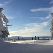Skihotel - Verschneiter Almberg mit tollem Ausblick - Skigebiet Mitterdorf