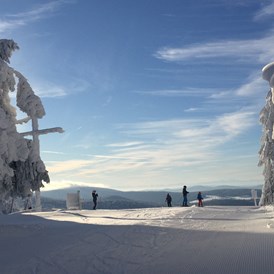 Skigebiet: Verschneiter Almberg mit tollem Ausblick - Skigebiet Mitterdorf