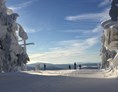 Skigebiet: Verschneiter Almberg mit tollem Ausblick - Skigebiet Mitterdorf