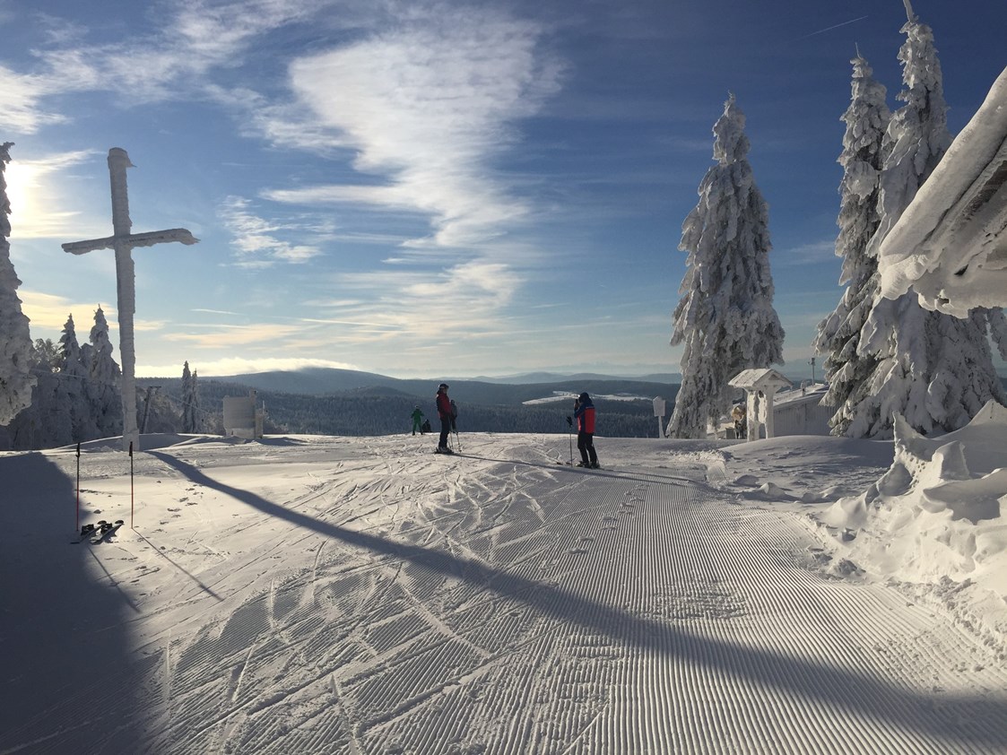 Skigebiet: Almberg mit tollem Ausblick - Skigebiet Mitterdorf