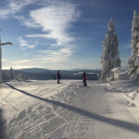 Skigebiet: Almberg mit tollem Ausblick - Skigebiet Mitterdorf