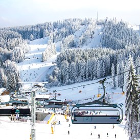 Skigebiet: Skiliftkarussell Winterberg
