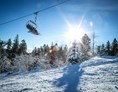 Skigebiet: Skiliftkarussell Winterberg