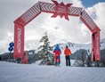 Skigebiet: Freeridecross in der Actionwelt Sudelfeld - Skiparadies Sudelfeld