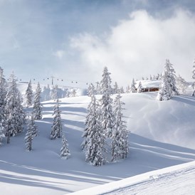 Skihotel: Winter im Skicircus Saalbach Hinterglemm Leogang Fieberbrunn - Ski & Bike Hotel Wiesenegg