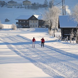 Skihotel: Langlaufen -direkt vom Hotel führt die Spur auf 260 km r Einstieg in das 260 km bestens gespurter Loipen aller Schwierigkeitsgrade - für Familien und Sportler - Hotel Zum Jungen Römer