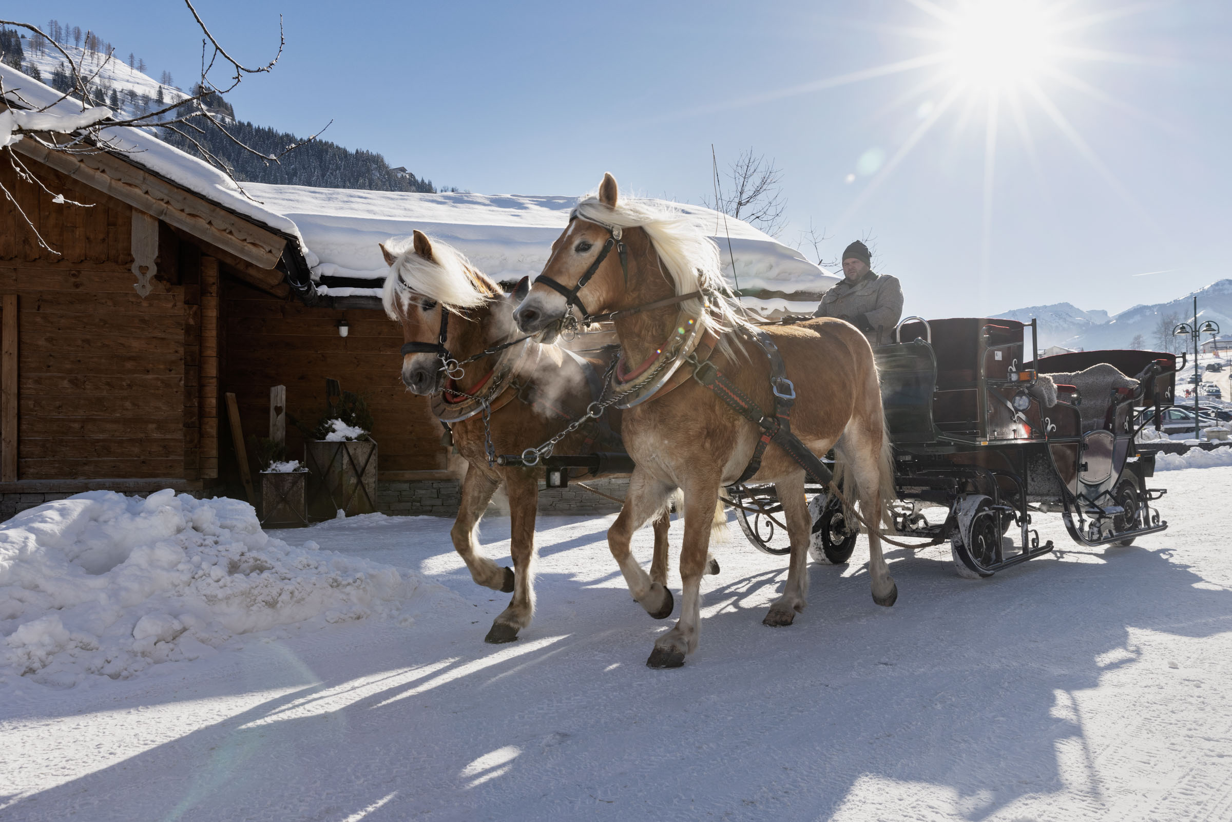 Skihotel: Feriendorf Holzleb'n