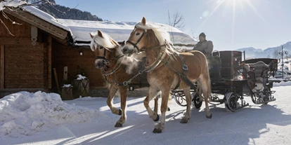 Hotels an der Piste - Mallnitz - Feriendorf Holzleb'n