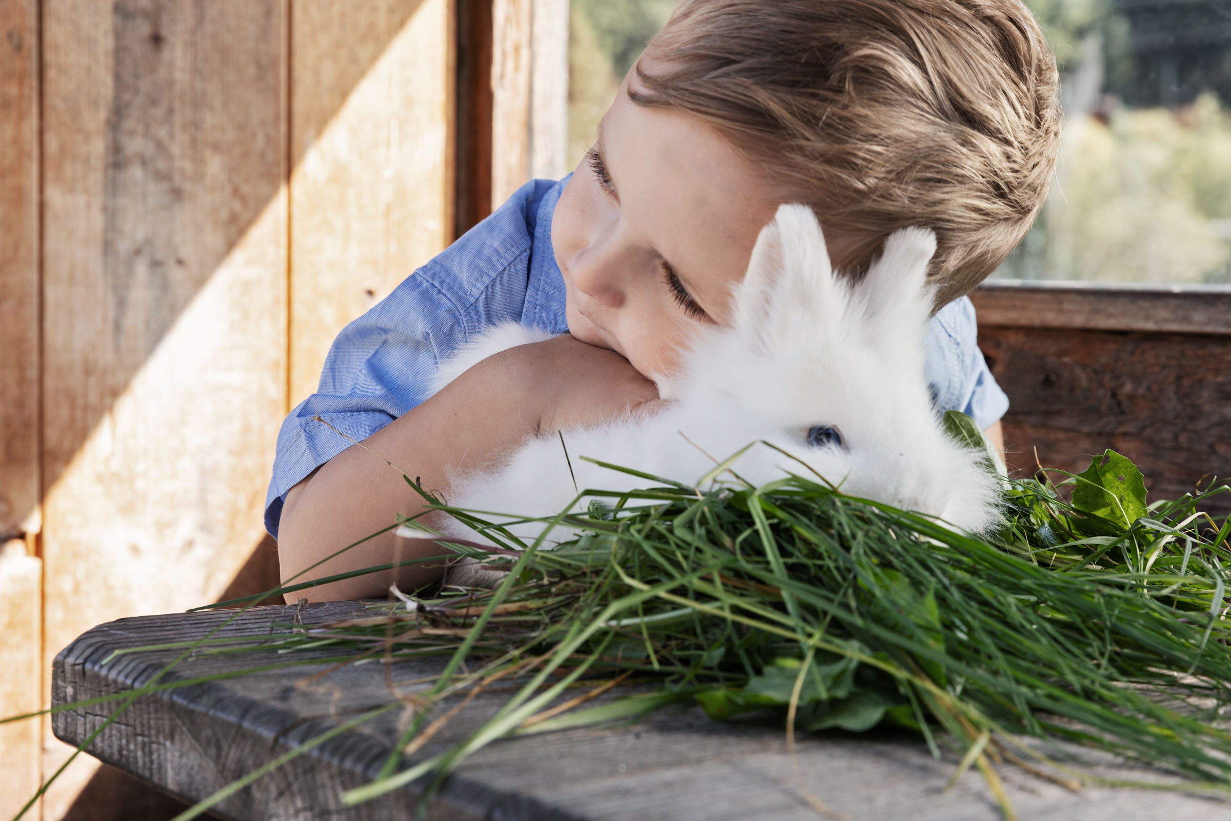 Skihotel: Feriendorf Holzleb'n