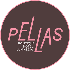 Skihotel: Boutique Hotel Pellas