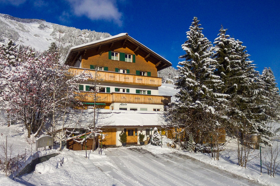Skihotel: Hausansicht Winter - Pension Alwin