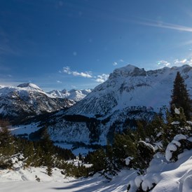 Skihotel: Ausblick - Pension Alwin