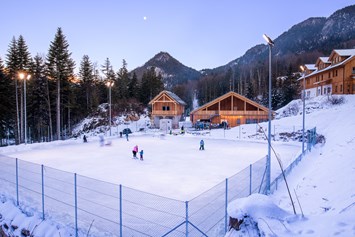 Skihotel: Eislaufen am Naturplatz - Narzissendorf Zloam