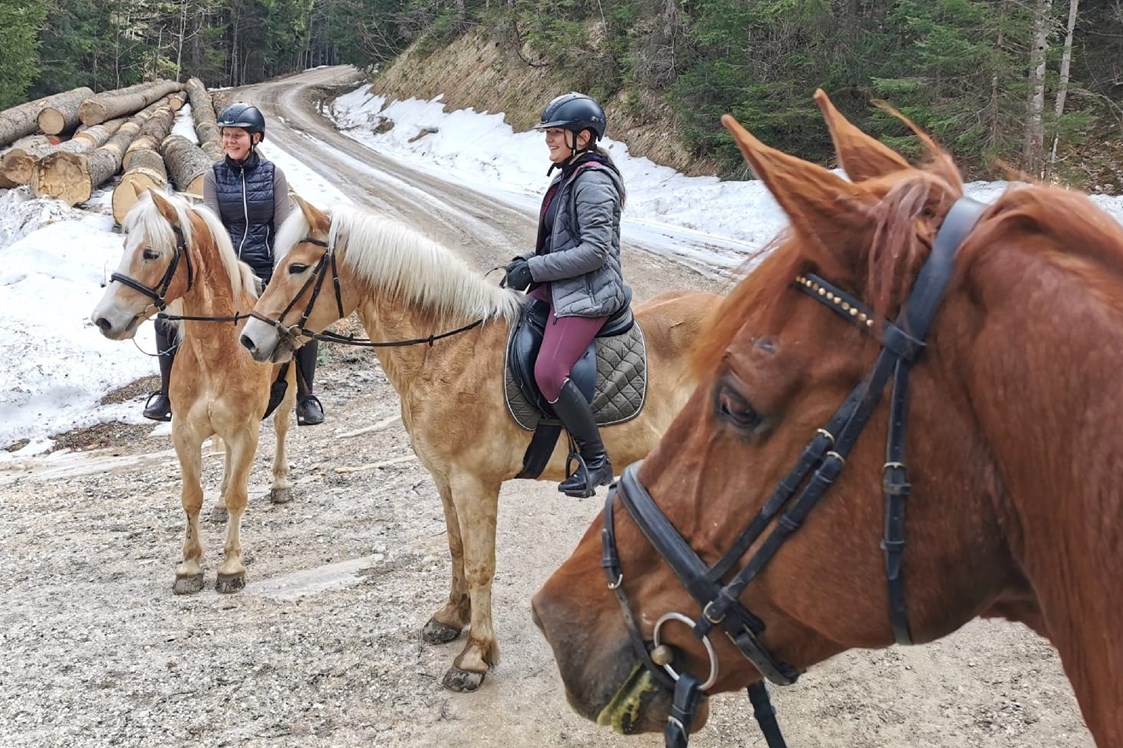 Skihotel: Ausritt mit den Pferdefreunden Zloam - Narzissendorf Zloam