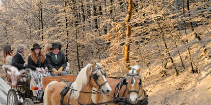 Hotels an der Piste - Skiverleih - Kutschenfahrten im Narzissendorf Zloam - Narzissendorf Zloam