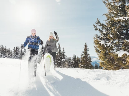 Hotels an der Piste - Mallnitz - Hotel Nesslerhof