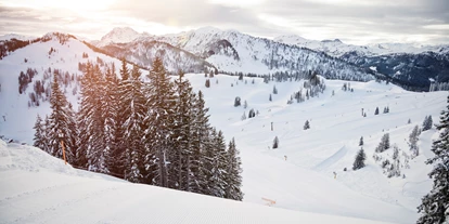 Hotels an der Piste - Skiverleih - Skiparadies Snow Space Salzburg - Hotel Berghof | St. Johann in Salzburg
