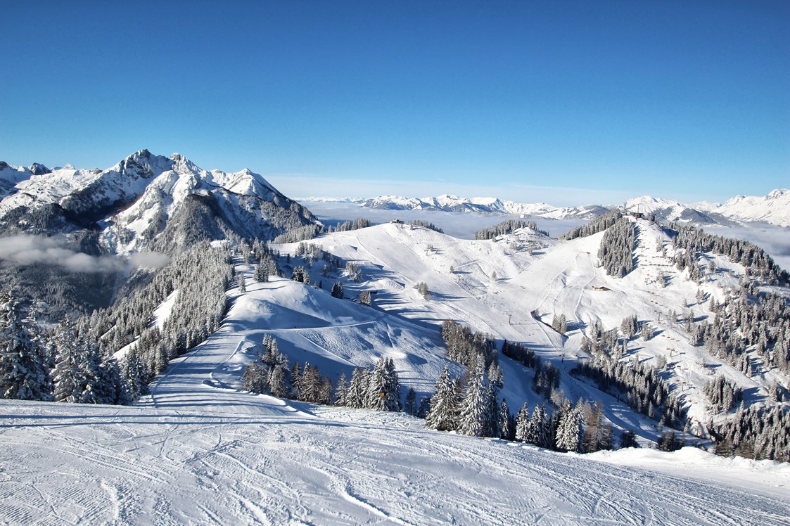 Skihotel: Skigebiet Snow Space Salzburg - Verwöhnhotel Berghof