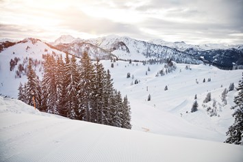 Skihotel: Skiparadies Snow Space Salzburg - Verwöhnhotel Berghof