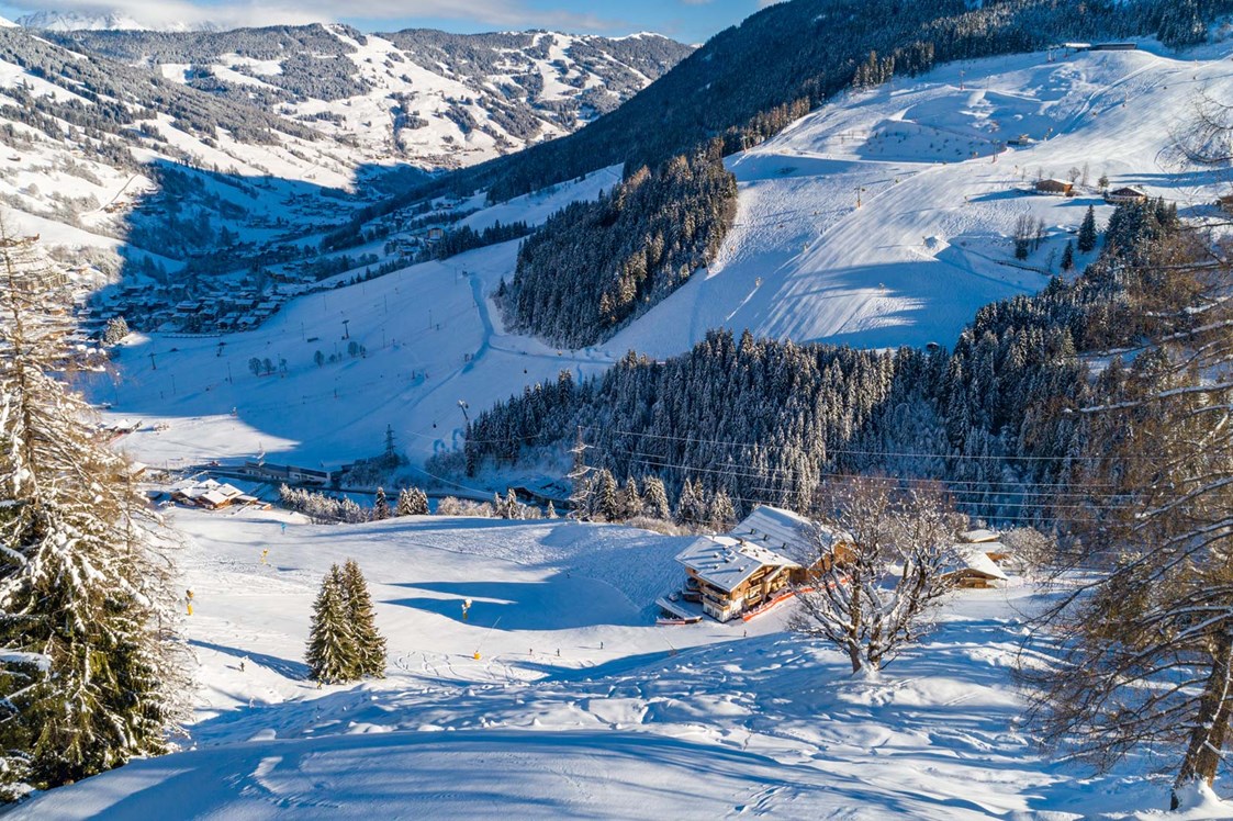 Skihotel: Skiurlaub direkt an der Piste - Ferienwohnungen Perfeldhof