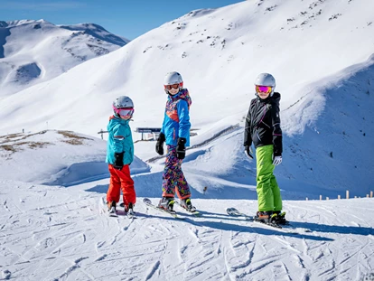 Hotels an der Piste - PLZ 6373 (Österreich) - Familienurlaub am Perfeldhof - Ferienwohnungen Perfeldhof