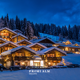 Skihotel: Außenansicht der Promi Alm - Promi Alm Flachau