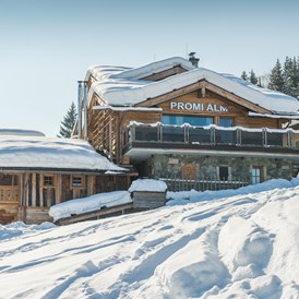 Skihotel: Chalet im Winter - Promi Alm Flachau