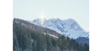 Hotels an der Piste - Skiraum: vorhanden - Rohrberg (Rohrberg) - Bergkulisse - Hotel DAS GERLOS