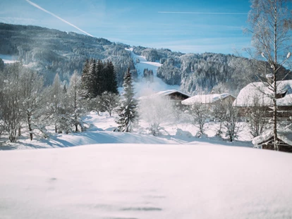 Hotels an der Piste - Ramsau am Dachstein - Hotel Gut Weissenhof ****S