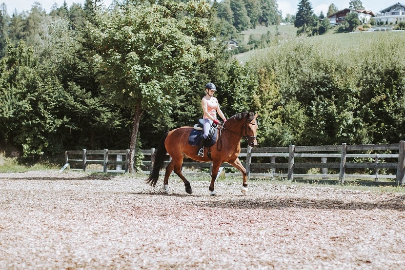 Skihotel: Hotel Gut Weissenhof ****S