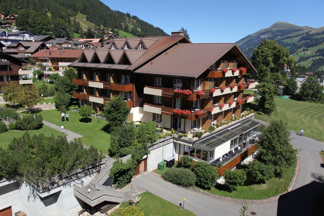 Skihotel: Aussenansicht Sommer - Hotel Steinmattli