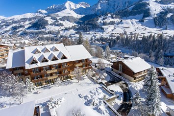 Skihotel: Aussenansicht Winter - Hotel Steinmattli