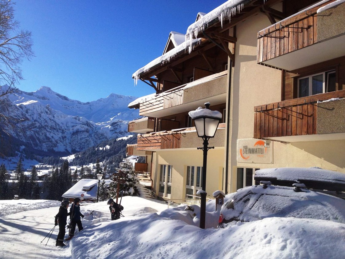 Skihotel: Aussenansicht Winter 2 - Hotel Steinmattli
